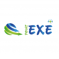 point exe plus